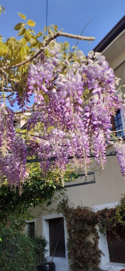 מלון Salionze Residenza La Dimora Imperfetta מראה חיצוני תמונה